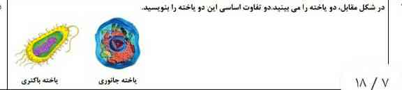 در شکل مقابل دو یاخته را میبینید دو تفاوت اساسی این دو یاخته را بنویسید