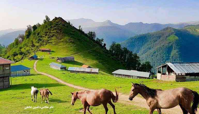 بچه ها هرکس درباره این انشا بگه 
تاج و دنبالش میکنم❤️