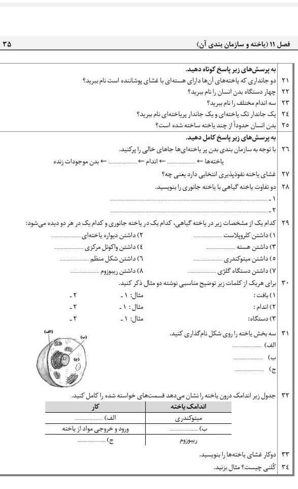 جوابشون رو بگید ؟