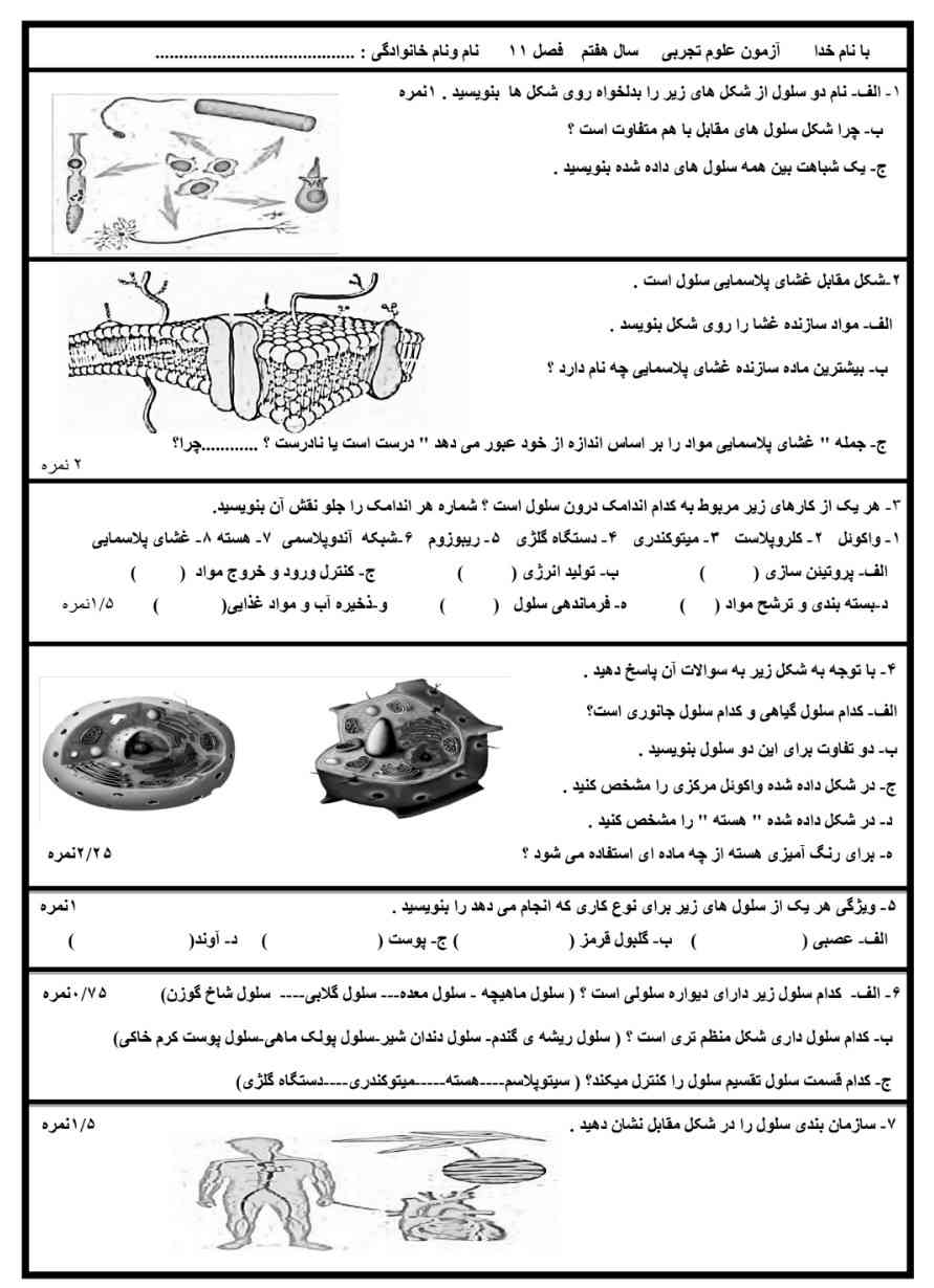 لطفا پاسخ دهید؟
معرکه میدم.؟