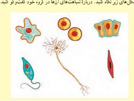 سلام و عرض ادب خدمت شما عزیزان 
دوستان اگه میشه فعالیت صفحه ۱۰۰ علوم پایه هفتم رو برام جوابشو بفرستید 
من خودم نوشتم ولی خیلی کمه  باید اونو تو مدرسه برای بچه ها توضیح بدم خواهش می کنم اگه کسی بلده برام بفرسته ؟
هرکی قشنگ برام جواب رو بیشتر از ۲ خط بفرسته 
جایزه اش 
ثبت جمله معرکه است  هست 
ممنون
میفرستین 
تا چهارشنبه باید بنویسم؟