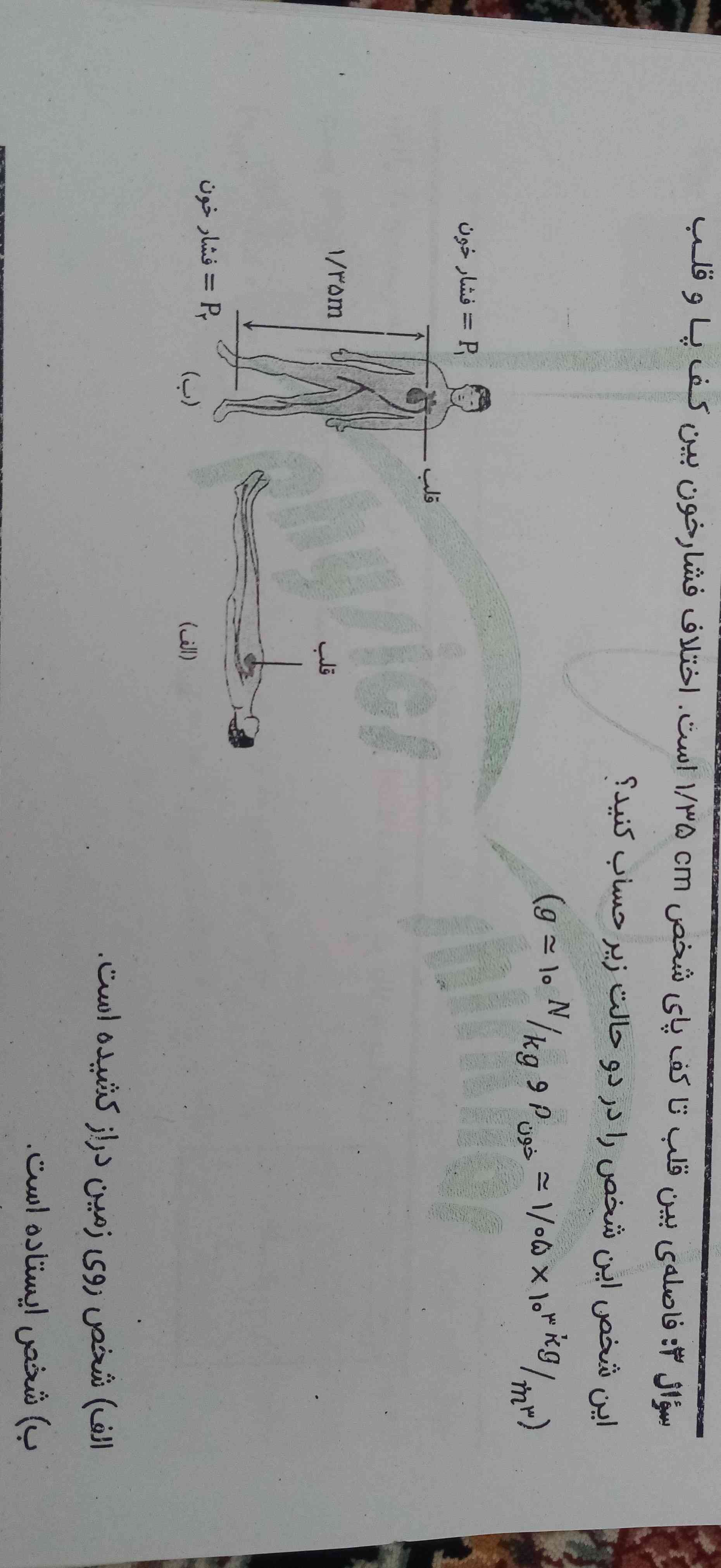 حل این سوال؟