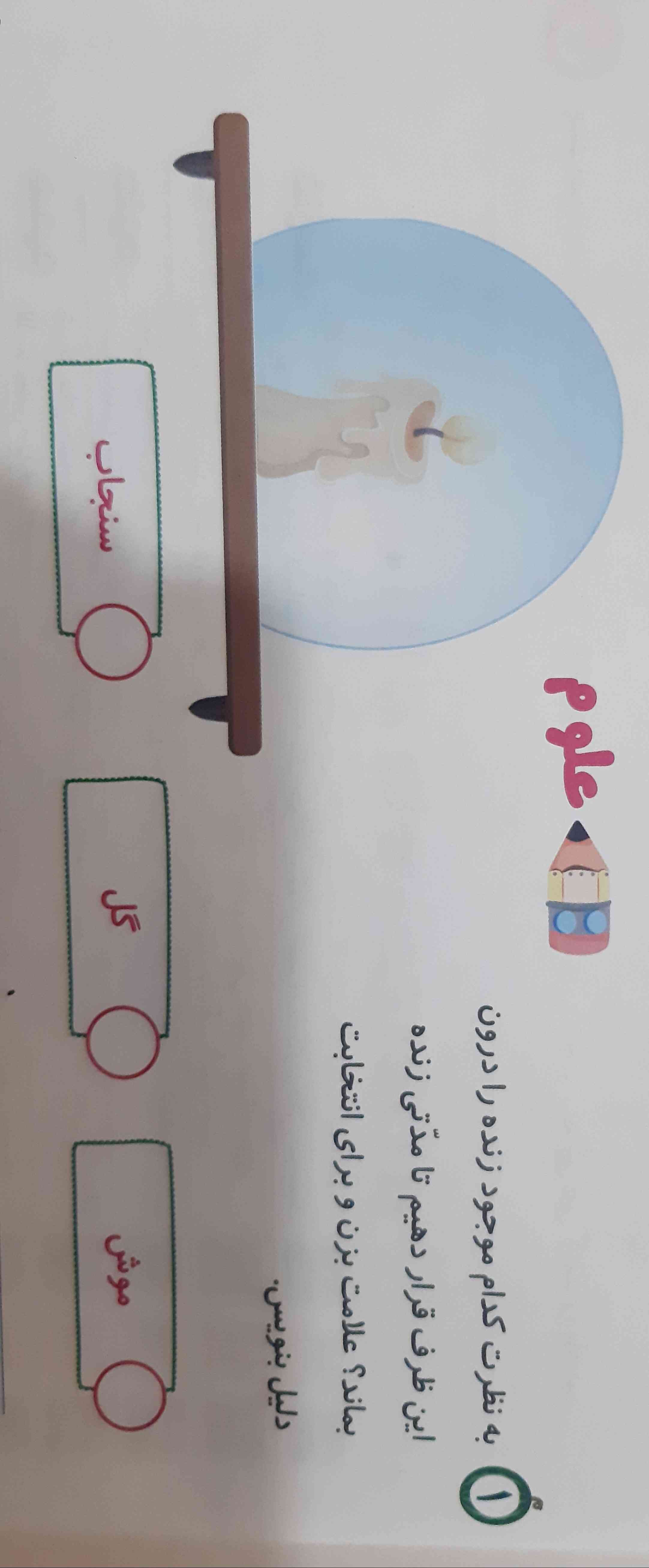 میشه لطفا جواب بدین عجله دارم؟؟؟