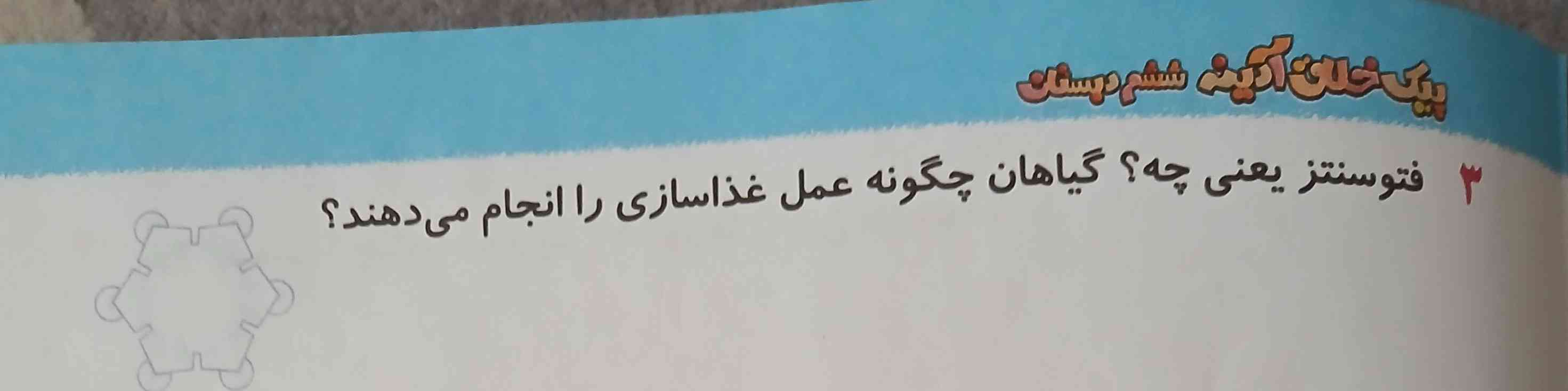 فتوسنتز یعنی چه ؟ گیاهان چگونه عمل غذا سازی را انجام می دهند ؟