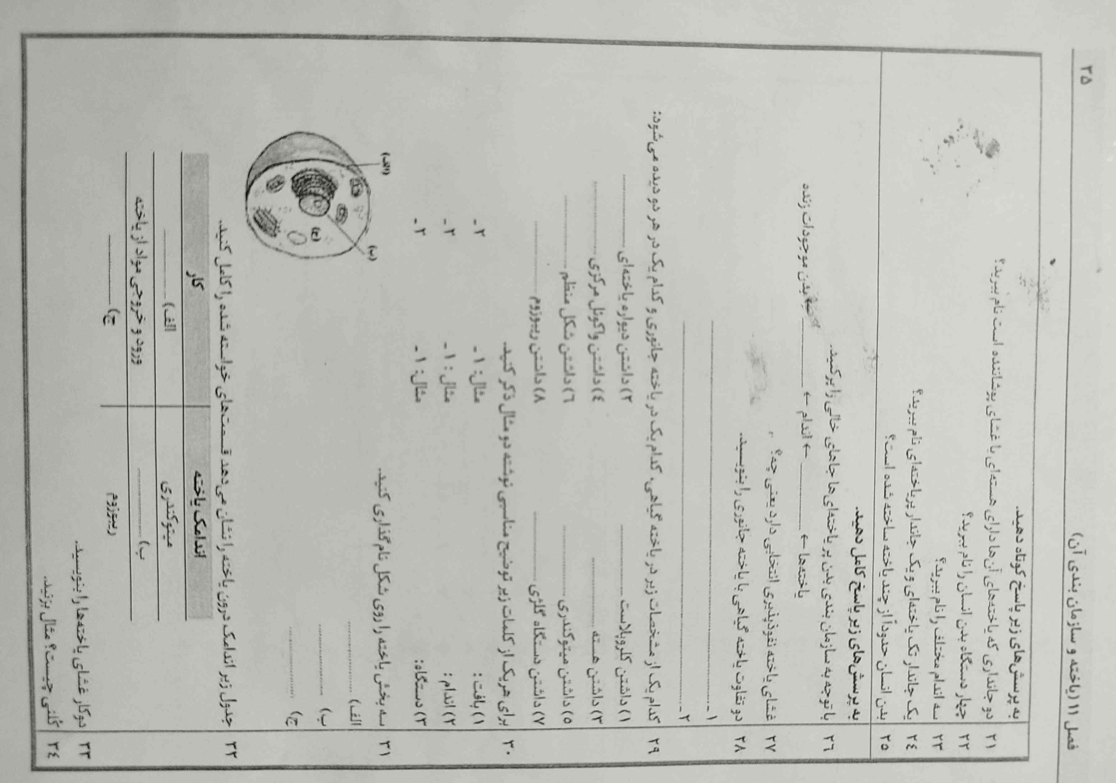 لطفاً جواب بدین معرکه میدم ?