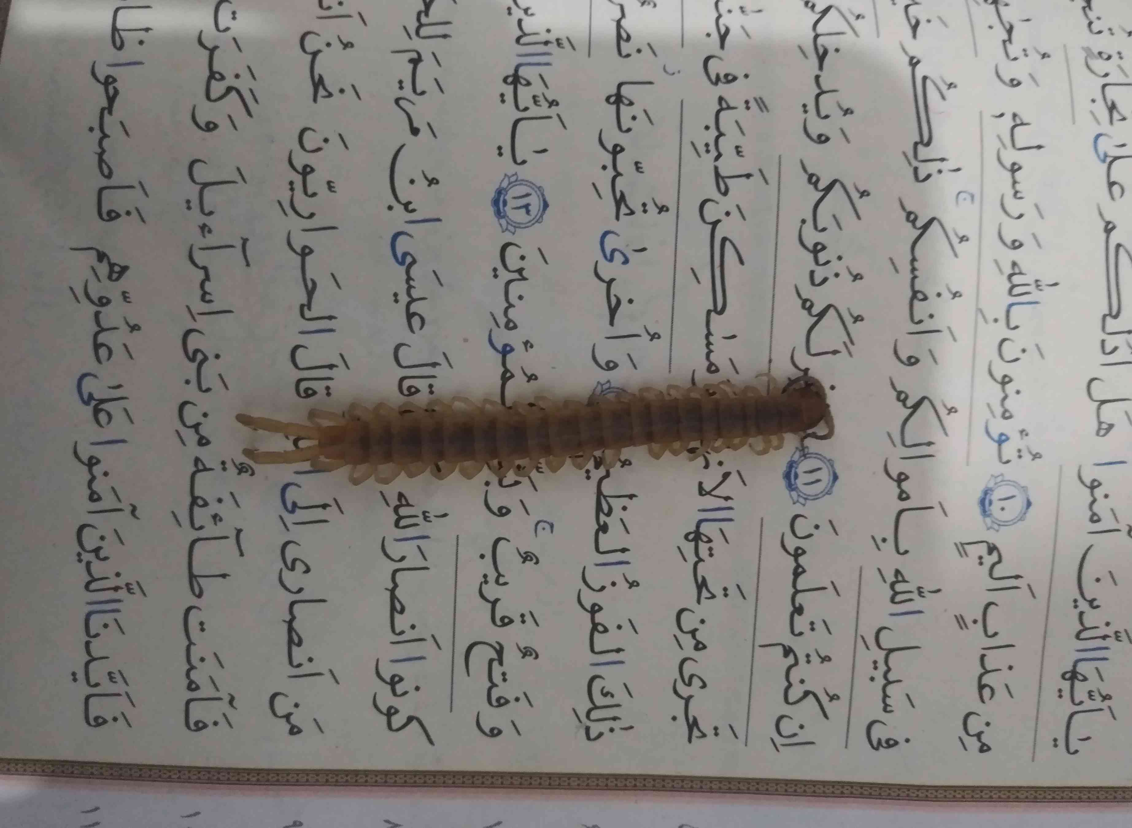 دیشب این میخواست منو بخوره 😂😂
؟