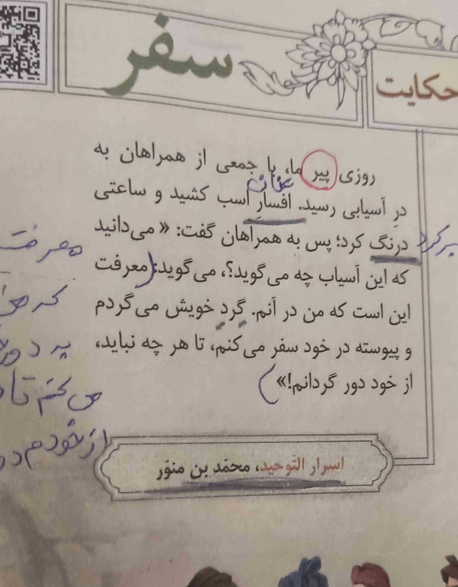 کسی میدونه منظور از 'پیر' چیه؟