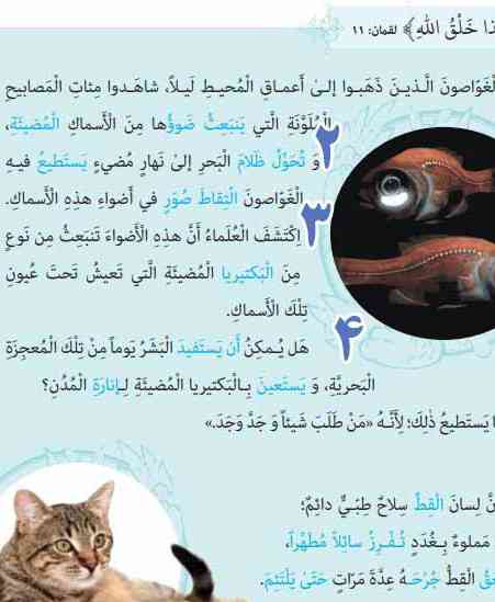سلام خواهش میکنم از این متن درس ۵ چند تا جمله فعلیه و اسمیه پیدا کنید و مفعول و مبتدا و... بگید ممنون میشم؟