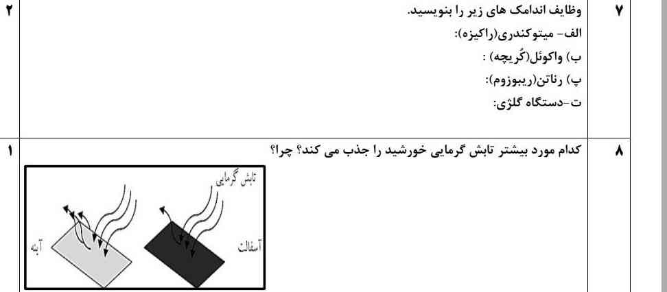 میشه جوابشو بگید 