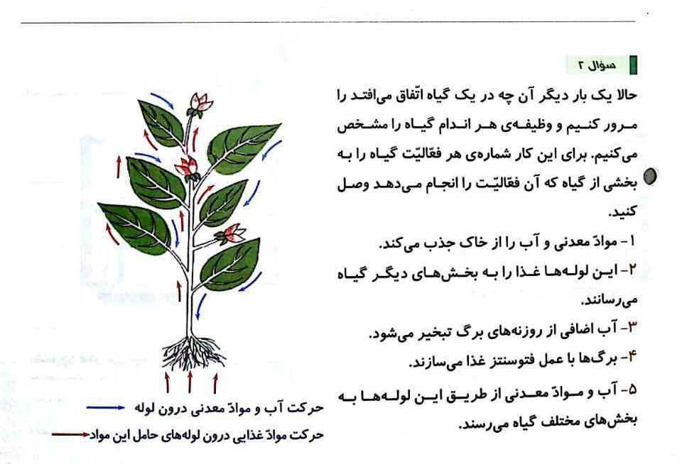 جواب بدید سری معرکه میدم 