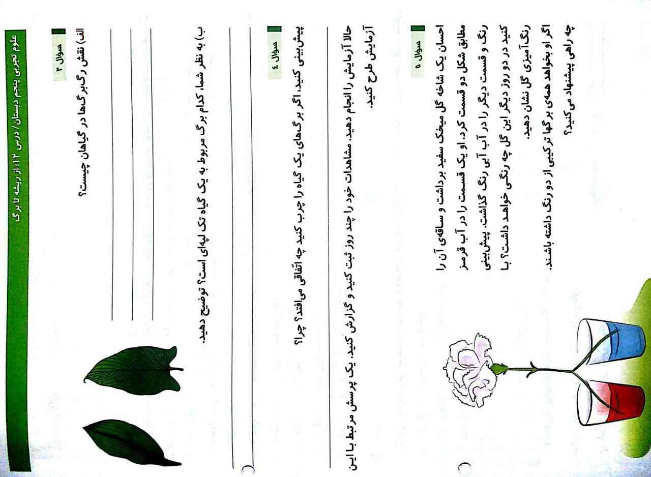 جواب بدید معرکه میدم لطفا