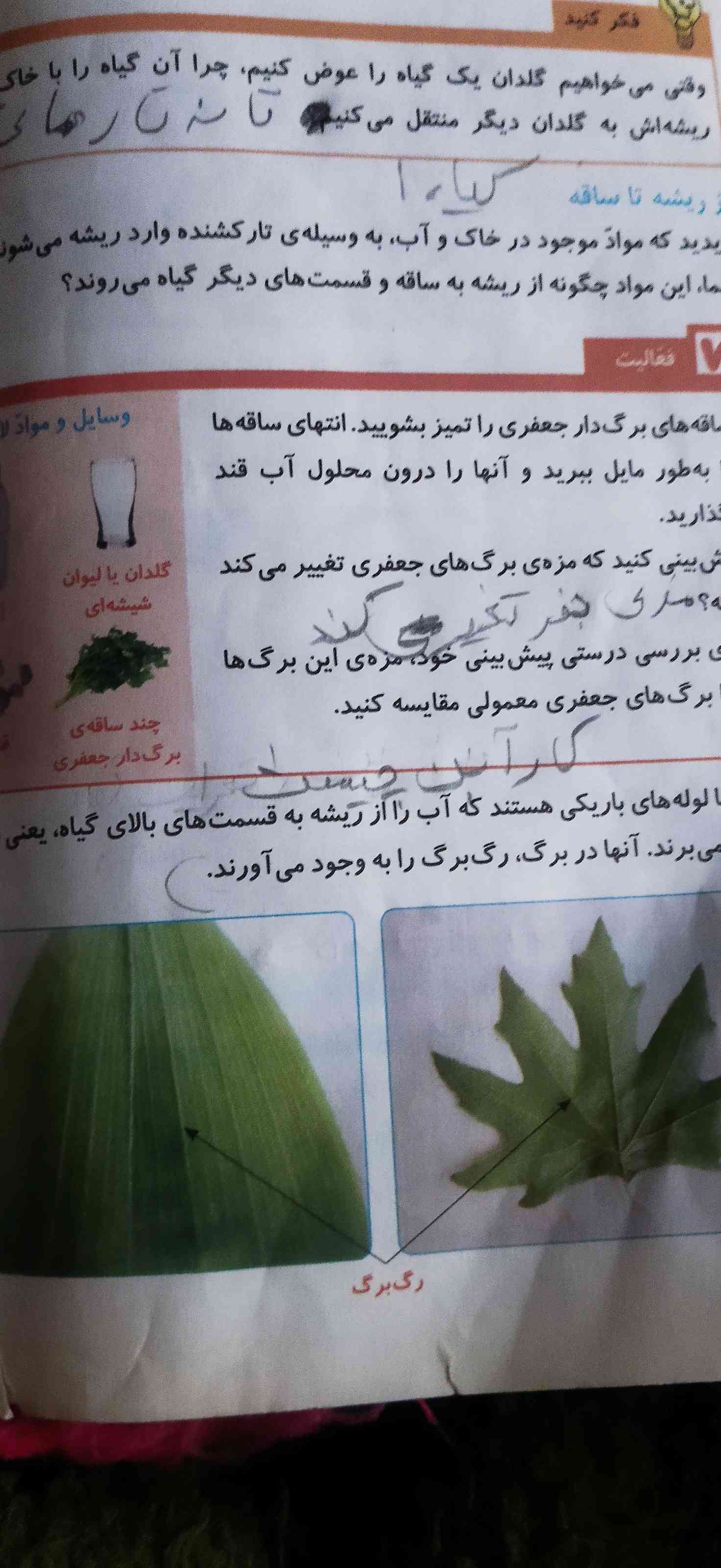 فرض کنید می خواهید به جشن تولد دوستان بروید و برای او گل های رنگارنگ هدیه ببرید اما گل فروشی گل‌های سفید دارد برای اینکه گل های رنگی داشته باشید چه میکنید؟