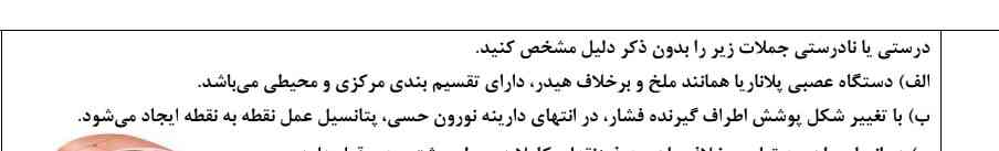 ب چرا غلطه؟؟