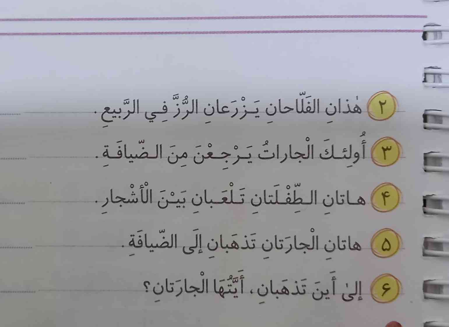 تورو خدا زود هل کنید؟