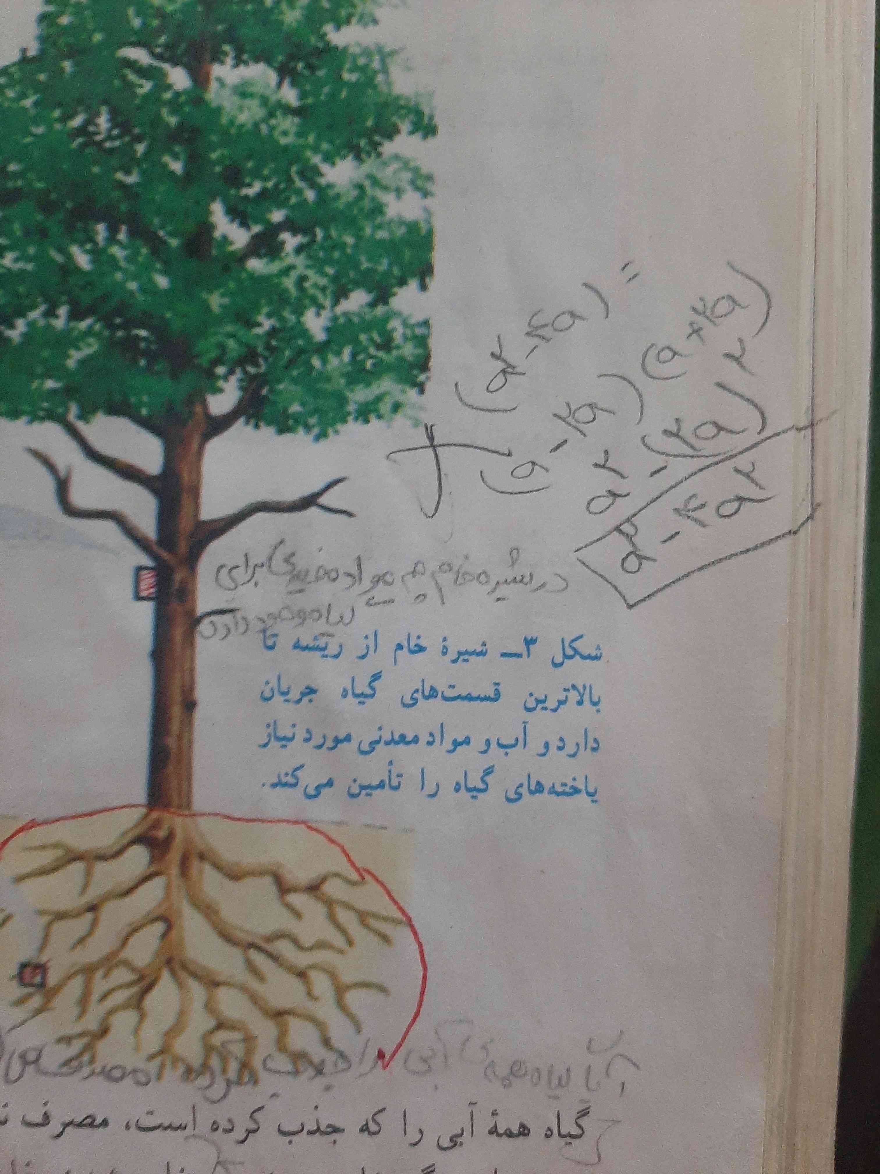 خانوم ماهک  داشتم علوم میخاندم‌
ببین تجزیش کو برای خدد اصن نمیشه مزدوج 
چرا چون اگ aاخری هم توان دو داش اون وقت میشد مزدوج الان نگا ای عکسه خب اتحاد نیس به aفاکتور میگیریم سوال داشتی بپرس ؟