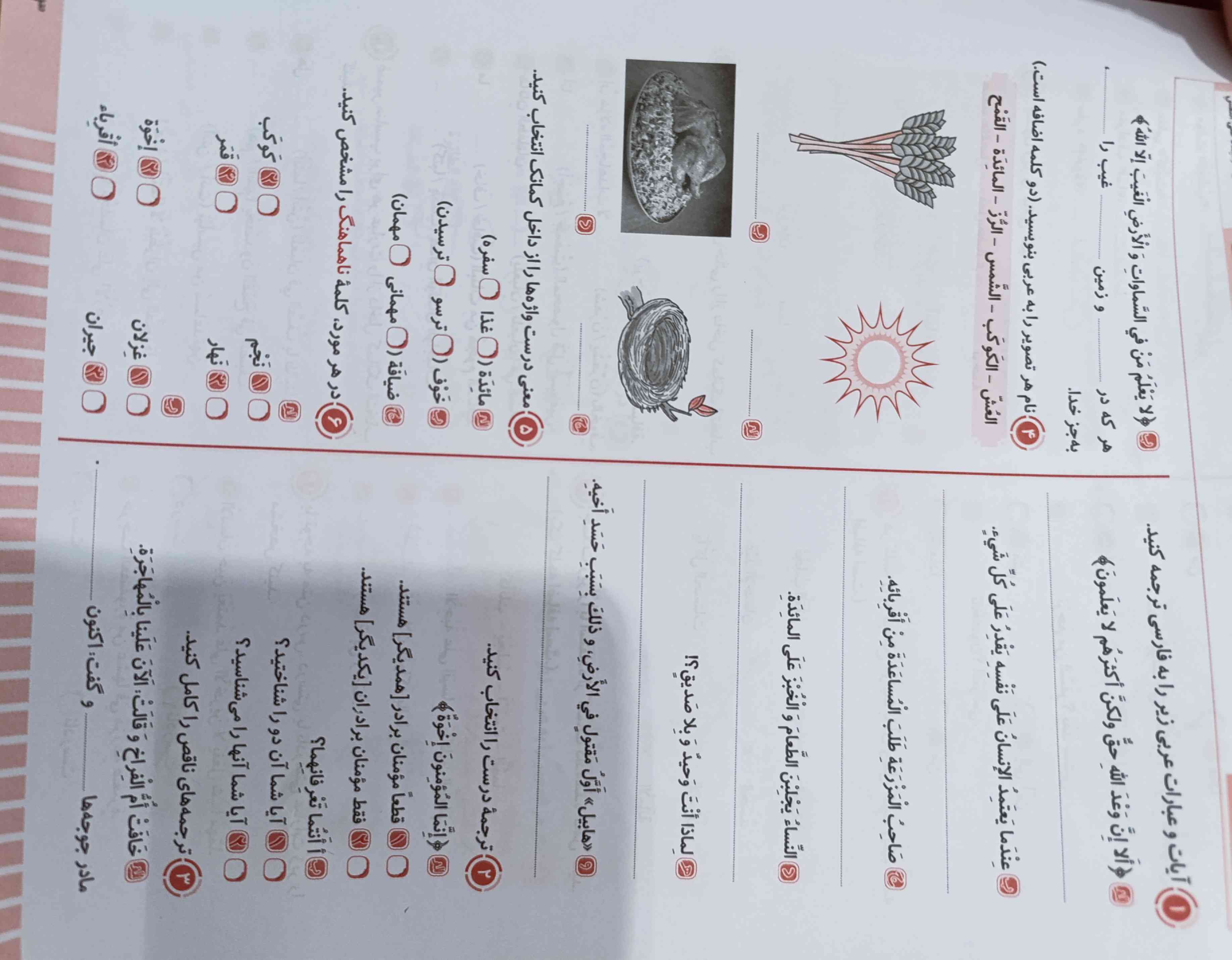 پاسخ بده  به سوالات