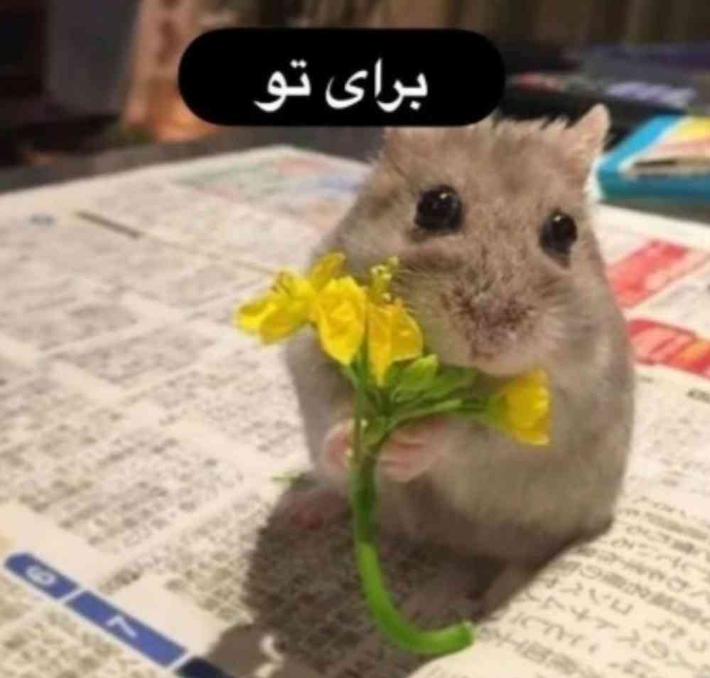 سلام 
فردا امتحان ریاضی دارم خیلییییی استرس دارممم میشه برام دعا کنید و برام چند راه کاهش استرس یاد بدید؟🥺🥺🥺🥺