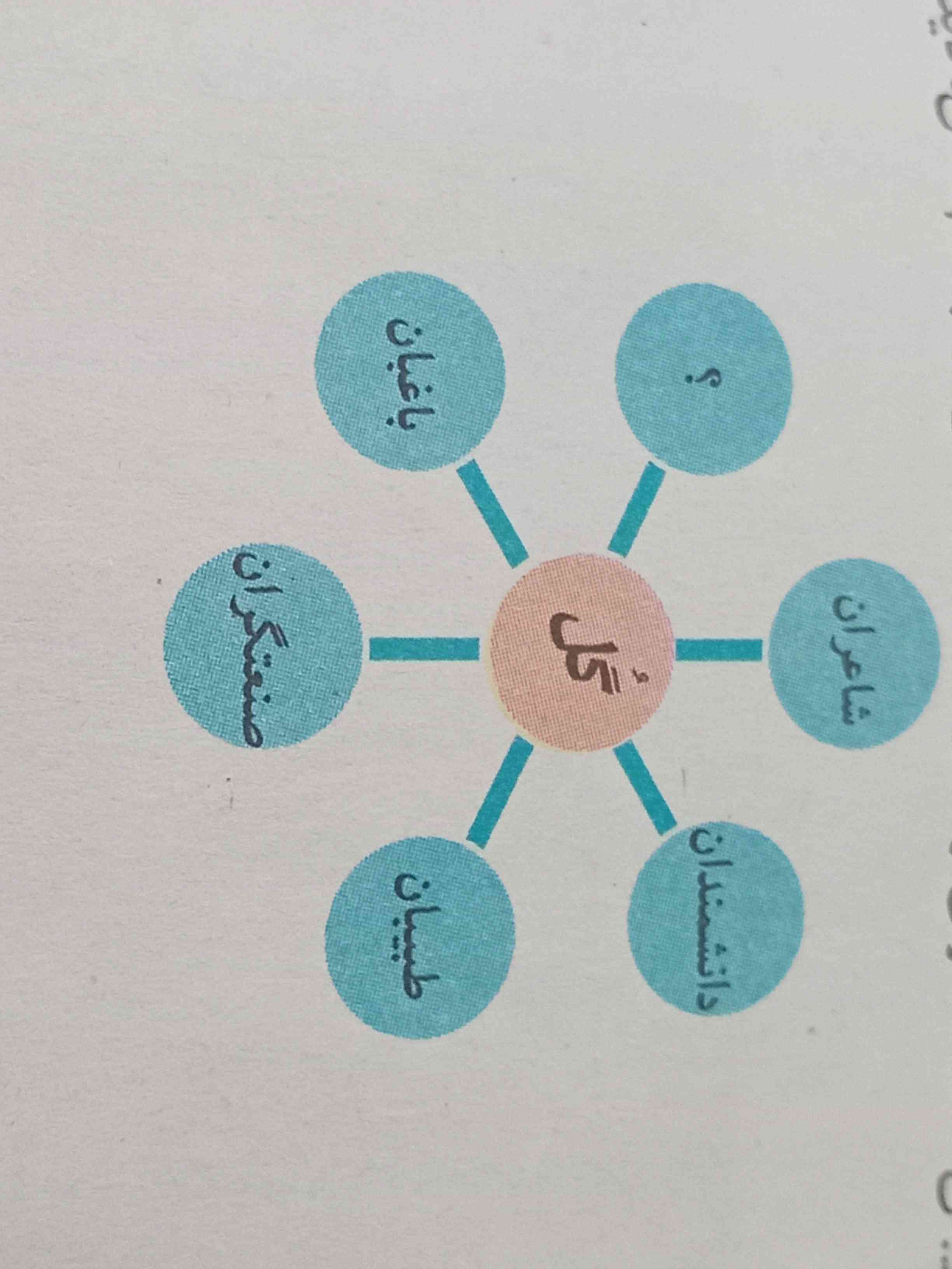 انشا صفحه ی ۸۸ موضوع گل از نظر قالی بافان