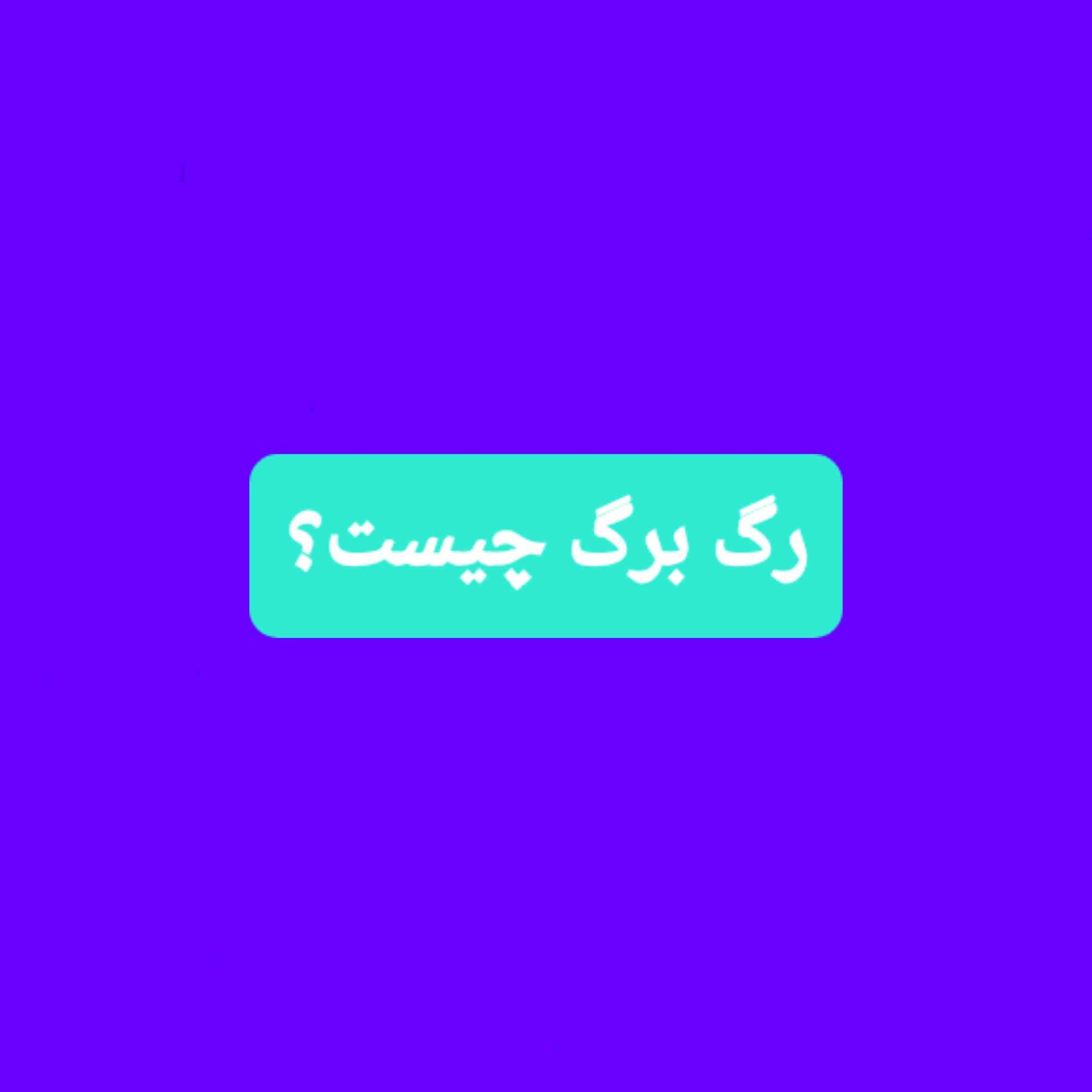 رگ برگ چیست؟