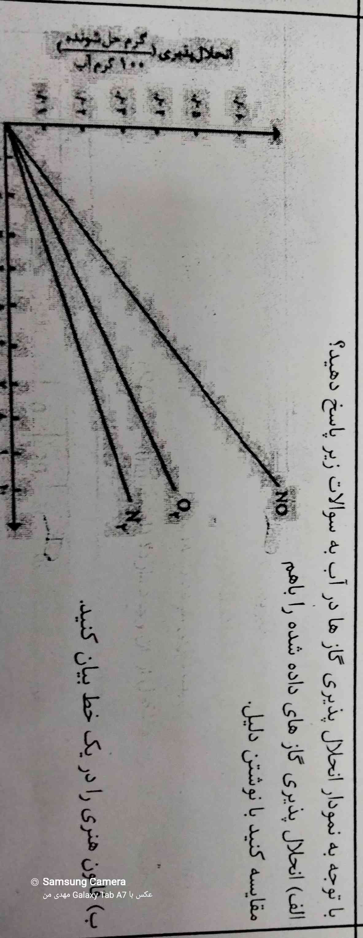 الف رو کسی بلده