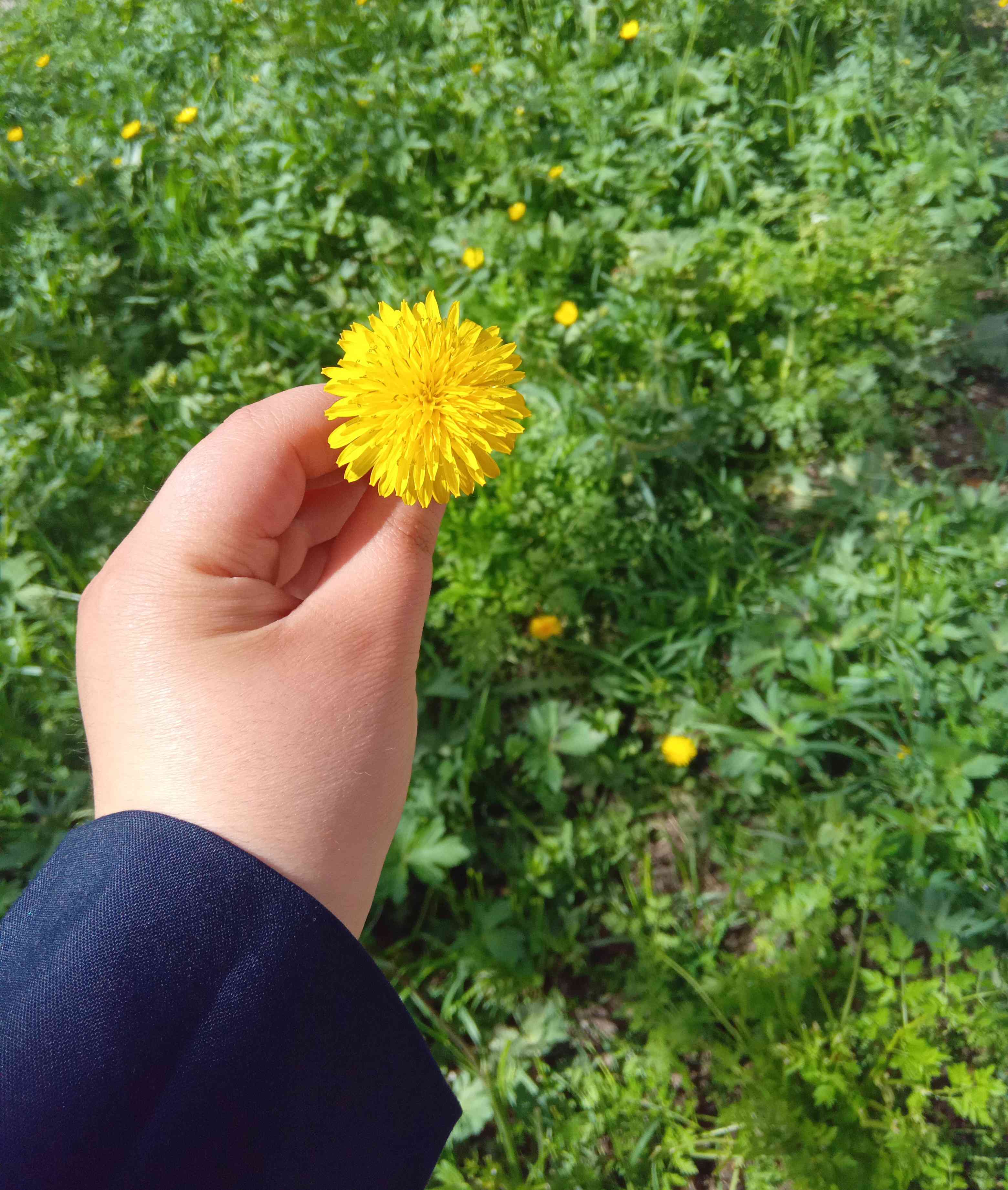 سلام دوستان این مربوط به کدام ویژگی حضرت فاطمه است


فاطمه مایه ادمانی قلب من است 
