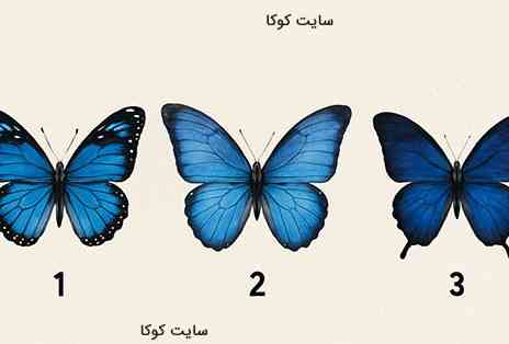 کدوم قشنگ تره 
شخصیتت رو بشناس 
معرکه هم بده 