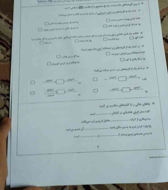 کسی جواب رو بلده