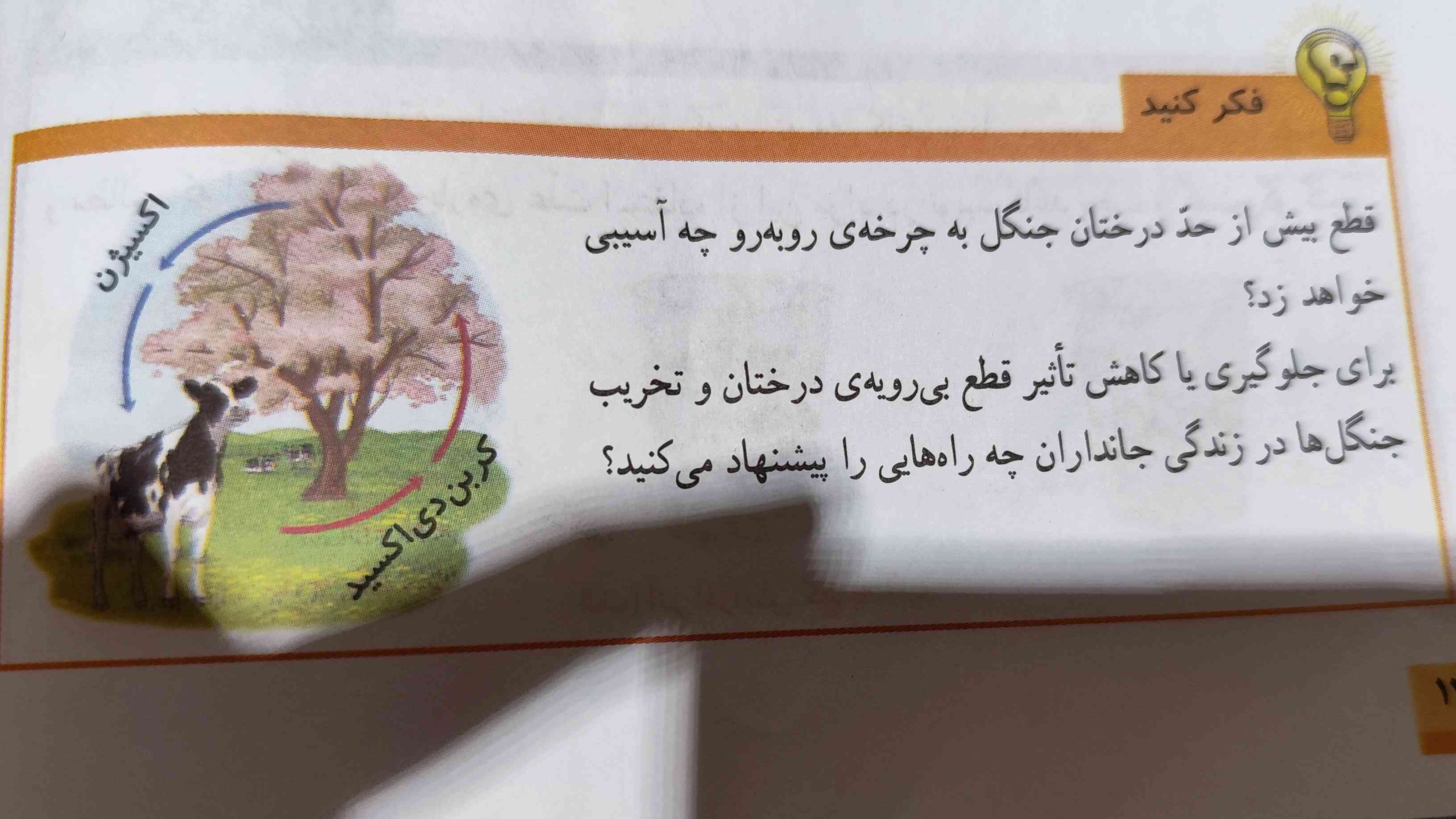 لطفاً اینو جواب بدید معرکه + فالو+ امتیاز ؟