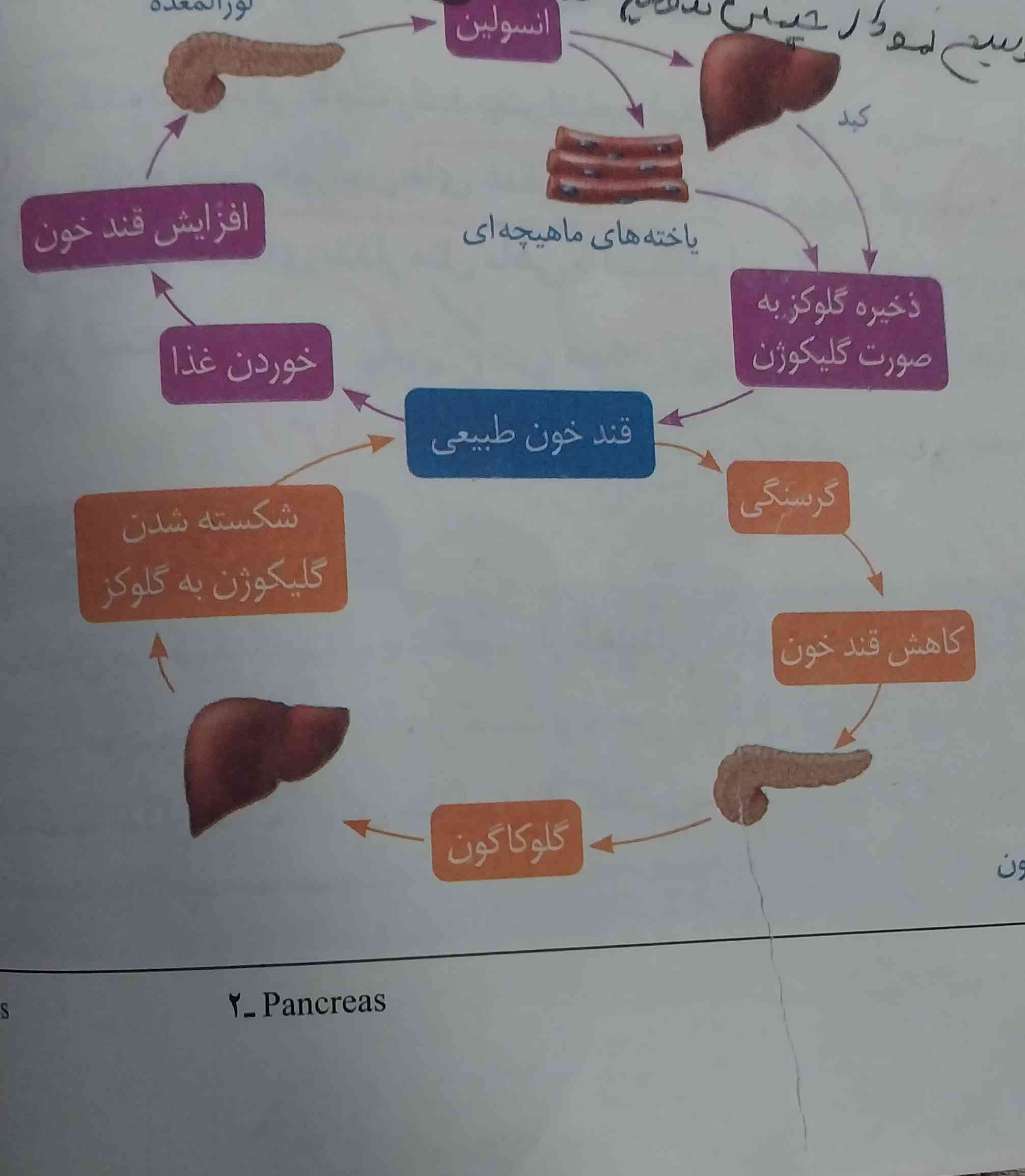 میشه اینو توضیح بدین