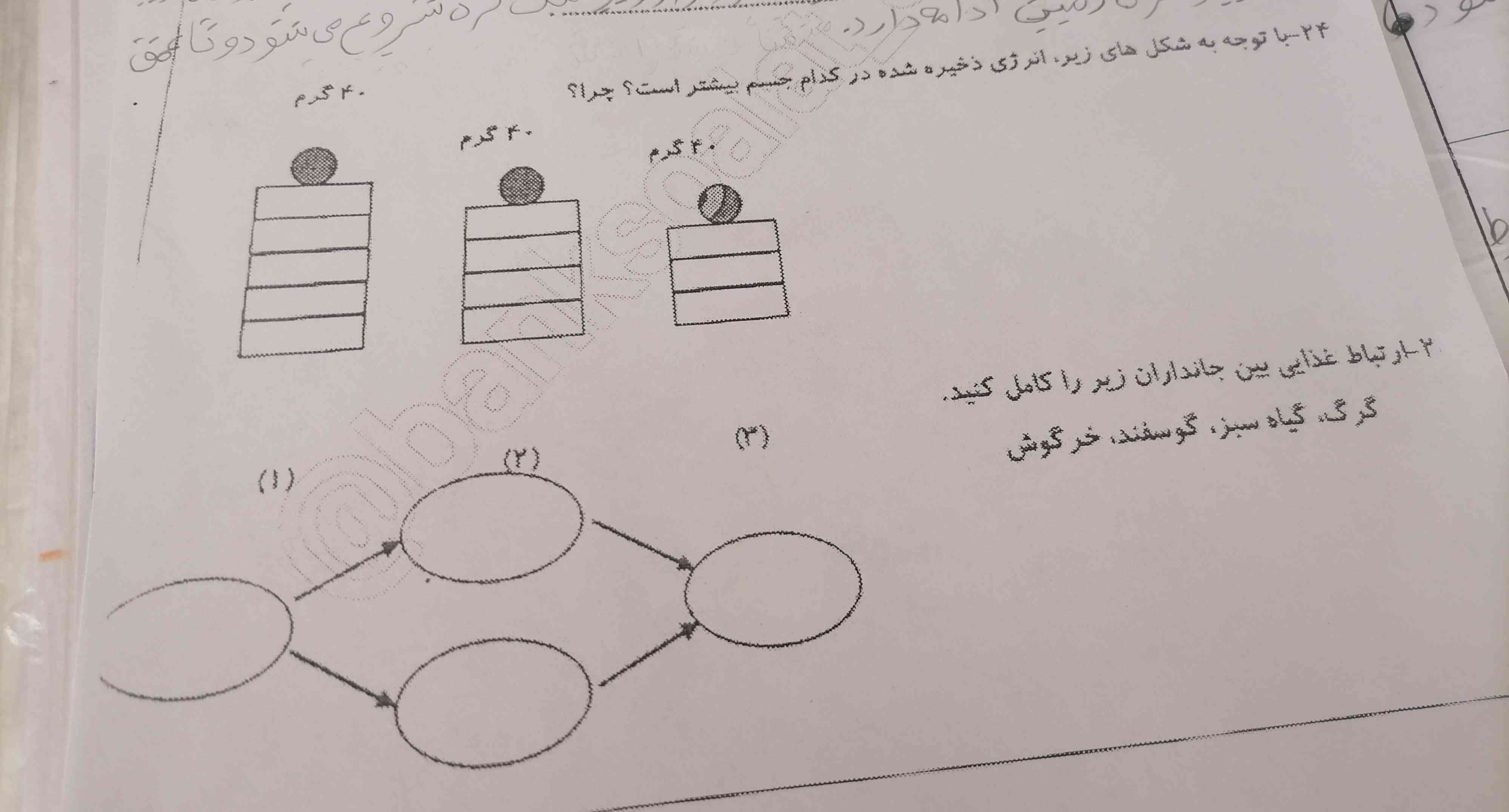 بگین تا معرکه رو از دست ندید فقط زود بگین فقط و فقط زود ممنونم جواب رو درست بگین چون امتحان دارم ازش 