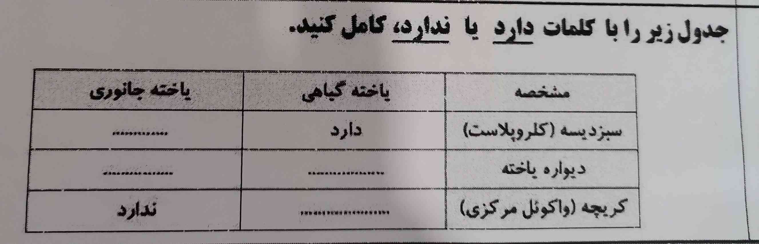 معرکه میدم
