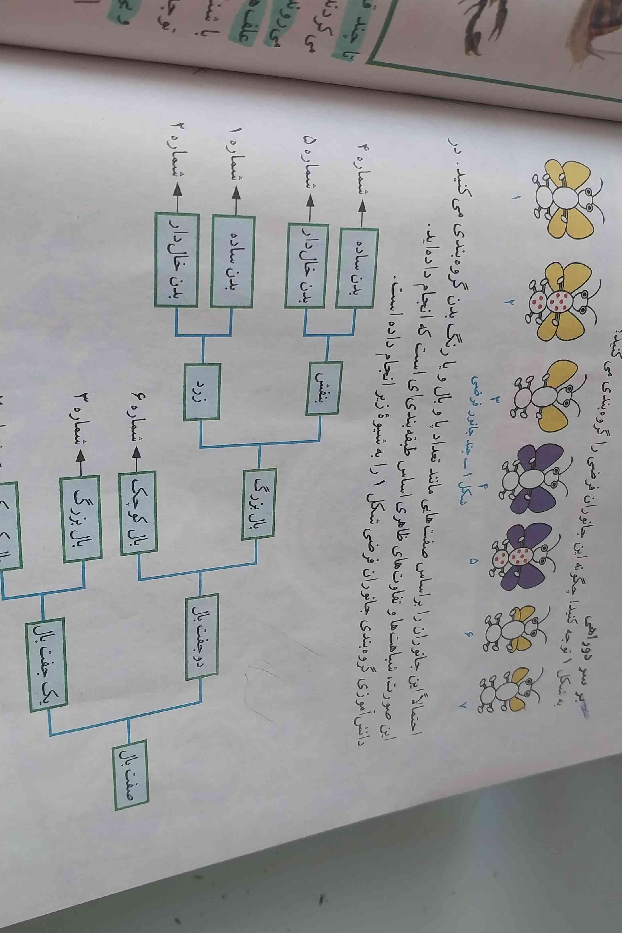 اینو چجوری بخونم