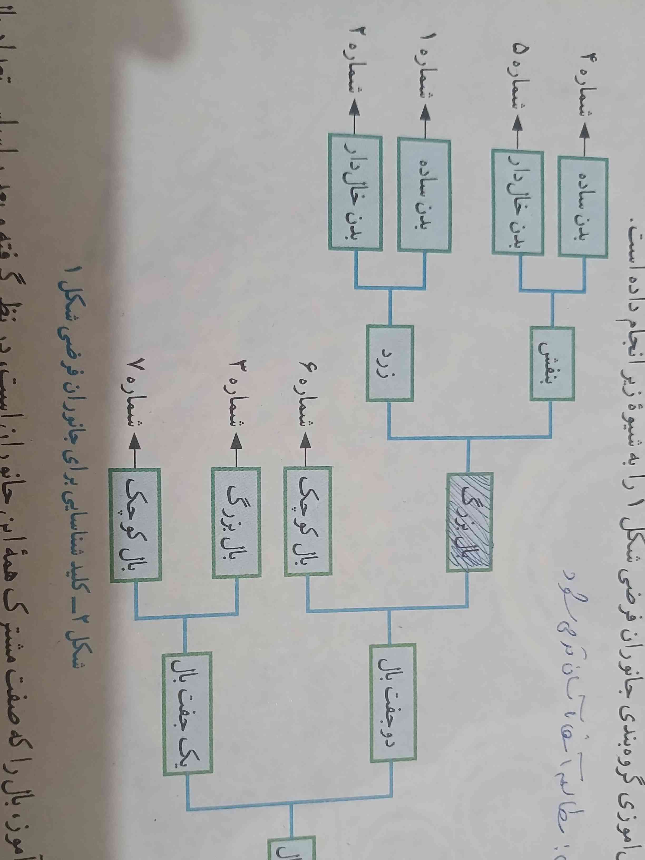 بچه ها از این قسمت چه جوری سوال میاد اگ کسی میدونه بگه . من ی جا دیده بودم ی سوال بود ک مثلا دو تا جاندار داده بود بعد گفته بود ک شبیه این جدول طبقه بندیشون کن و سخت بوددد سوالشو ذخیره نکردم و یادم نیس 