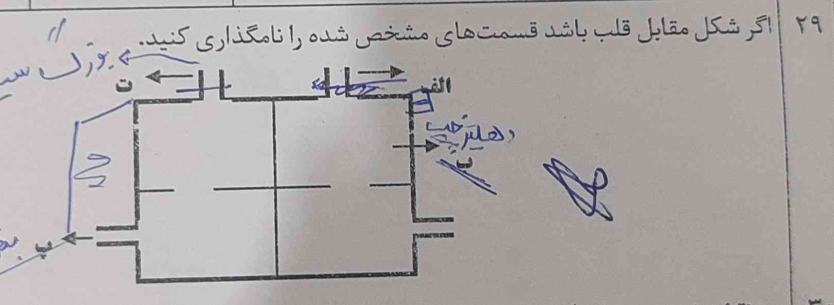 اگر این تصویر قلب باشد قسمت های مشخص شده رو نامگذاری کنید
