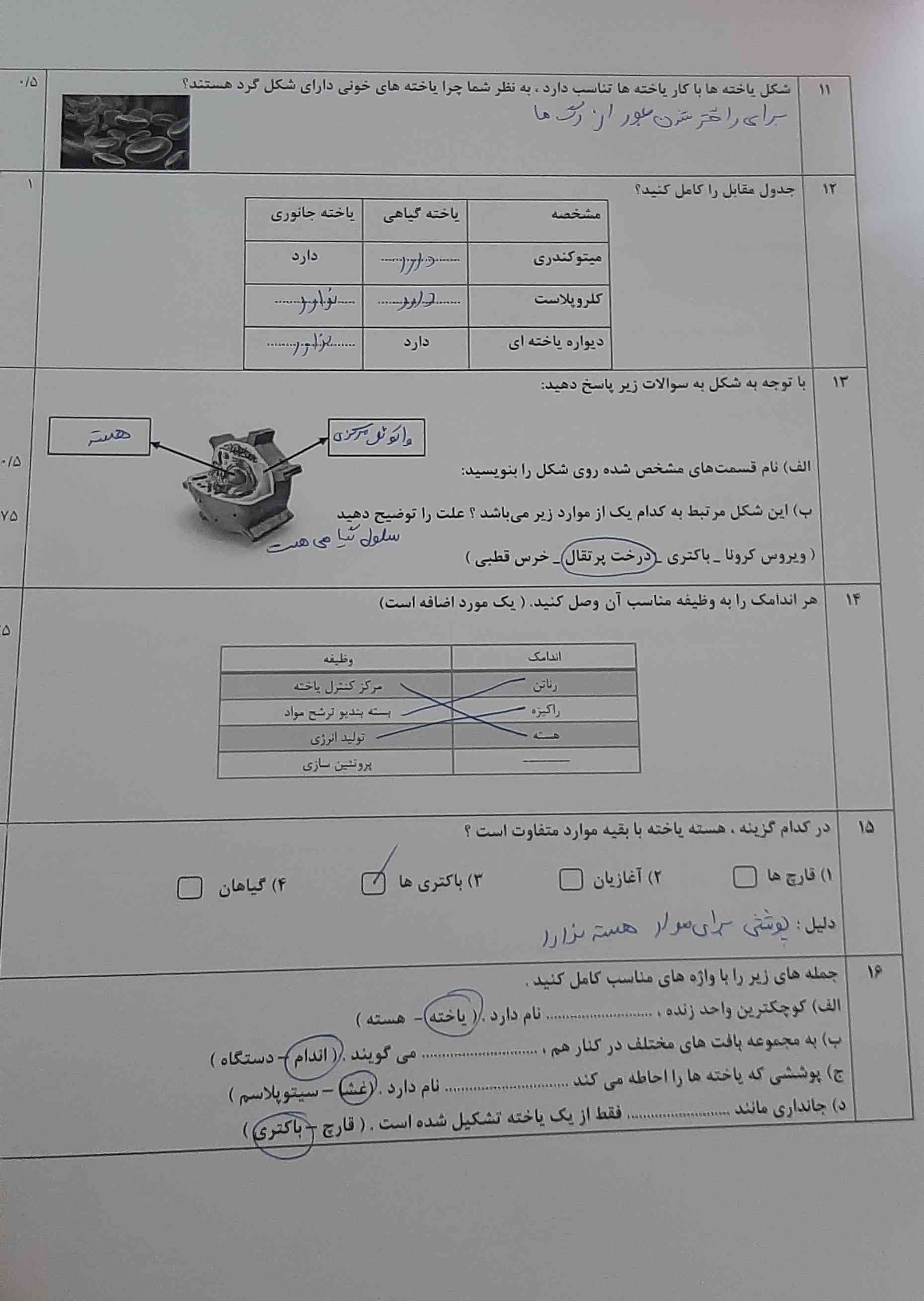 لطفا تصیح کنید و قسمت هایی که ستاره زدم رو توضیح بدید با تشکر.(لطفا هر سوال ننوشتم که به معنایی اینه که نفهمیدم و احتمالا کنار سوالش ستاره هست رو توضیح بدید و هر سوالی اشتباه بود جواب درست رو بگید هرکدوم از نظرم بهتر بود معرکه میدم)