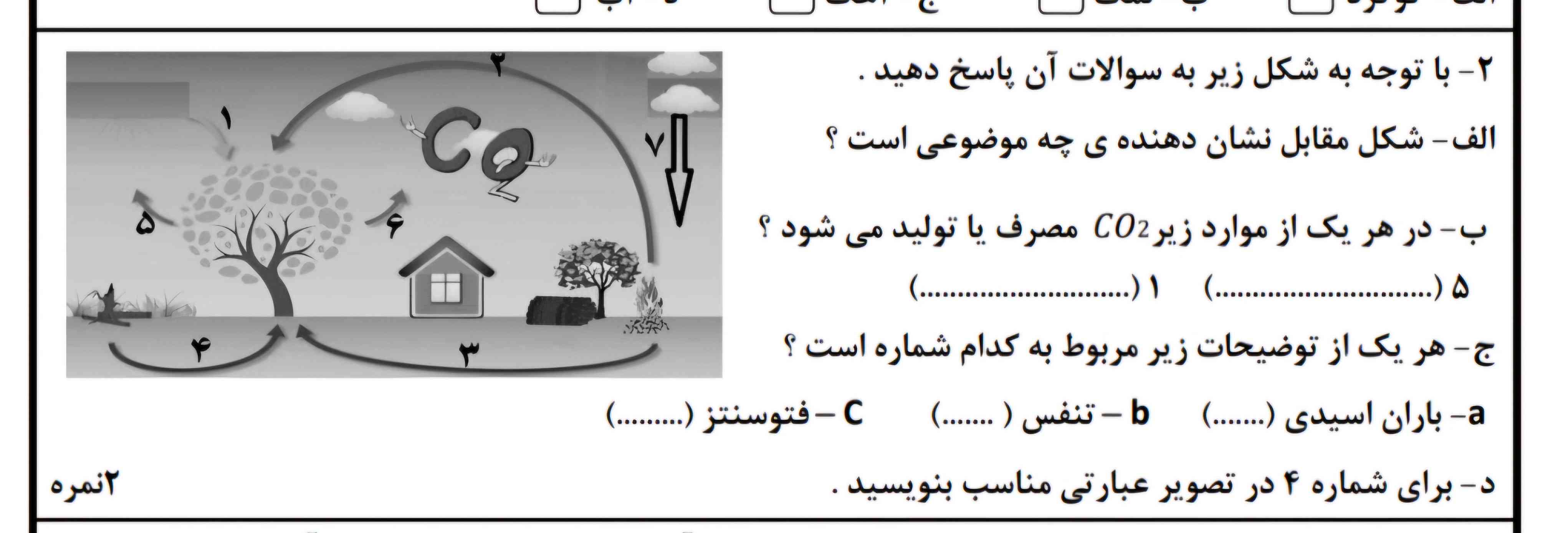 این‌  رو هر کی جواب بده تاج میگیره