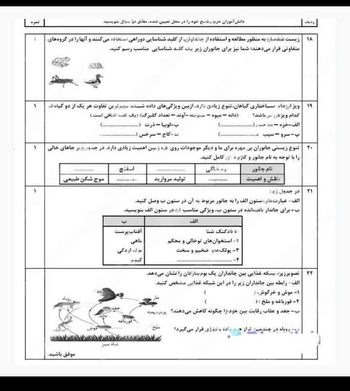 جواااااااااااب؟