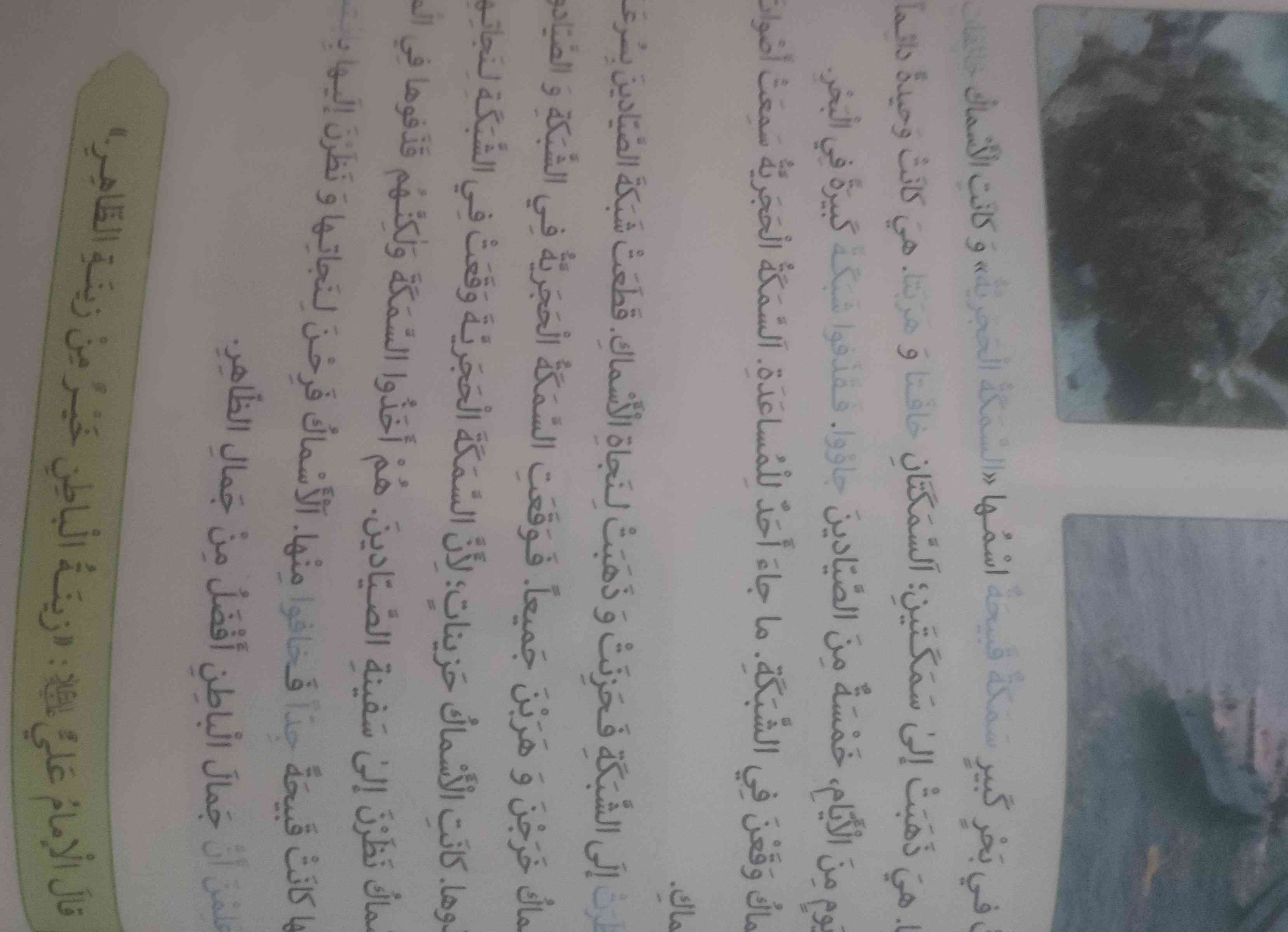 معنی فوراً معرکه میدم