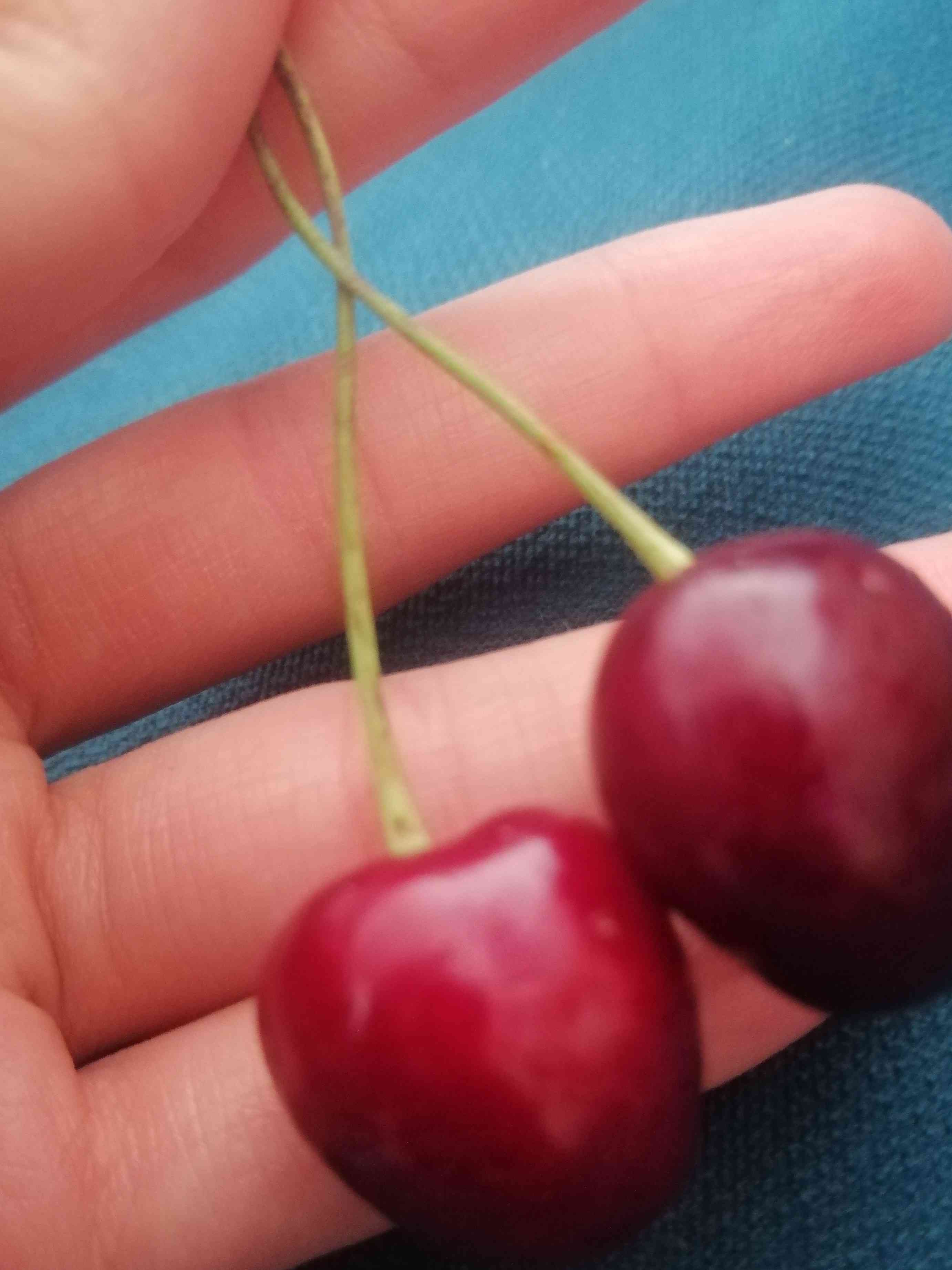 همچنان من سر ظهر درحال خوردن گیلاس 🫠