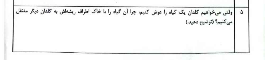 جواب بدین💖💗