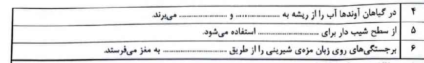 جواب بدین💗💖
