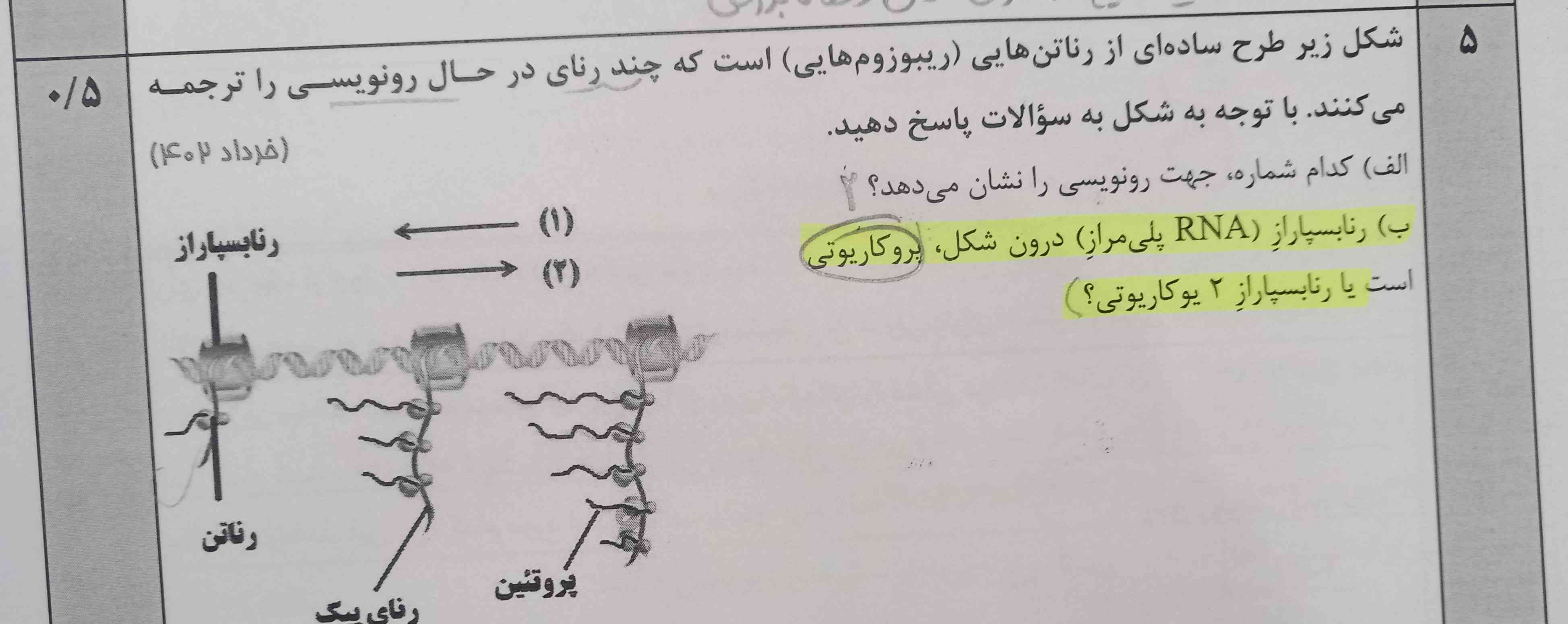 چیزی که هایلایت کردم منظورش چیه؟
از نظر نوشتاریش نفهمیدم
