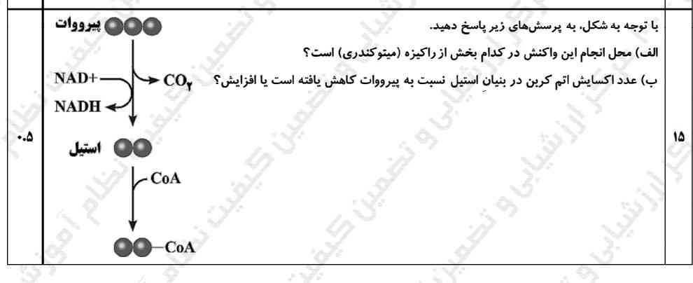 جوابشو توضیح میدین؟