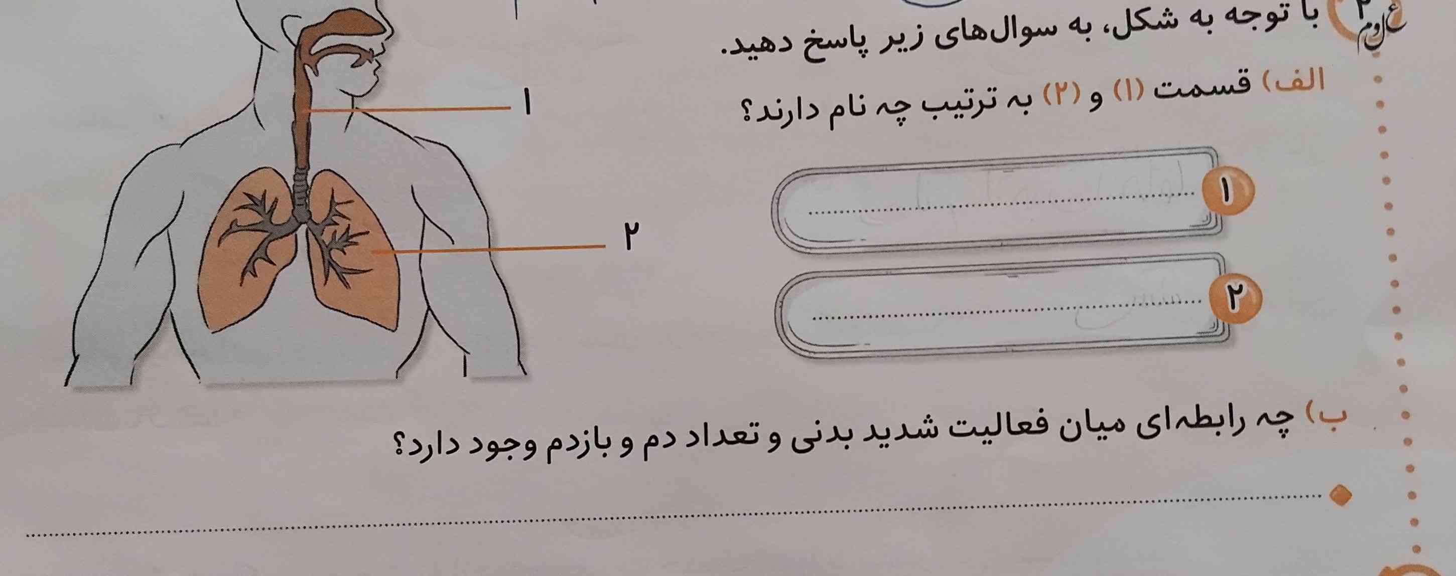 با توجه به شکل به سوال های زیر پاسخ دهید
