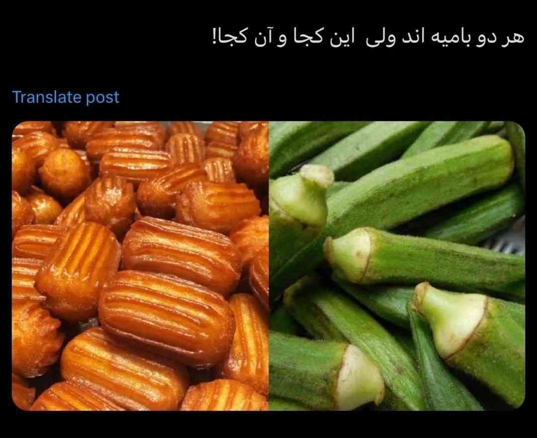 چرا میگن زولبیا ولی نمیگن زول برو
اصلا زول کیه؟؟
حالا اینو ولش بامیه با زولبیا و زول برو چی ربطی داشت؟ 😂