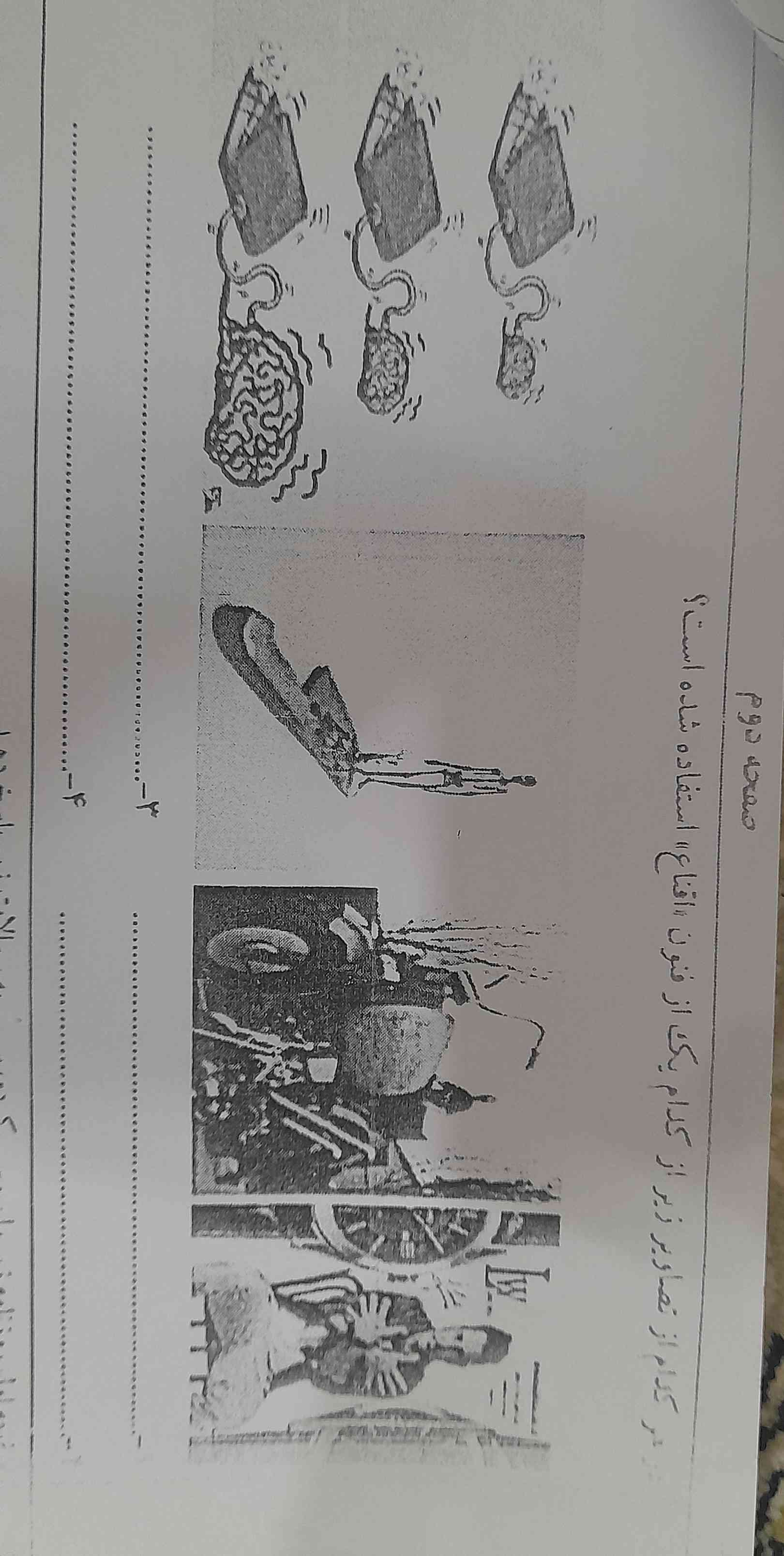 هر چه زودتر جواب را بفرستید 