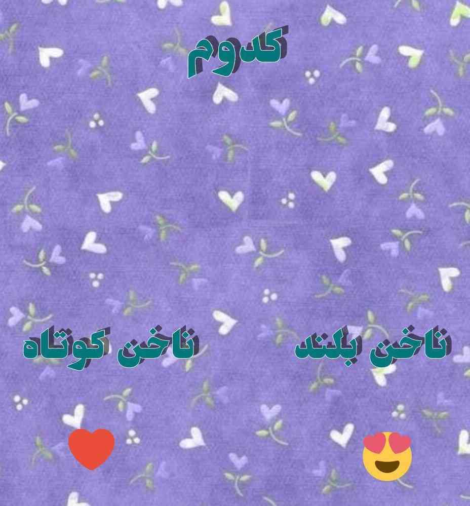 کدام گزینه را بیشتر دوست داری ؟