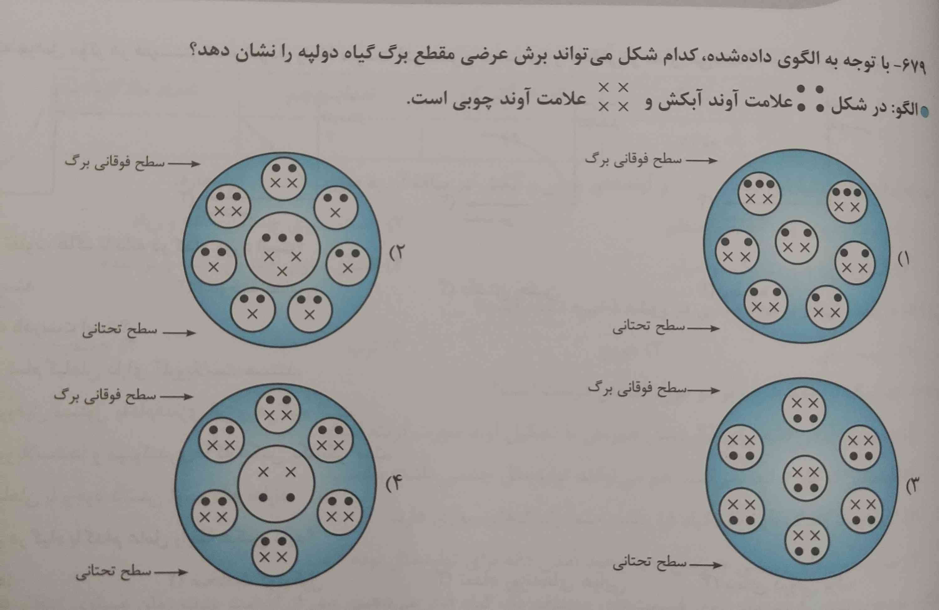 جواب با توضیح