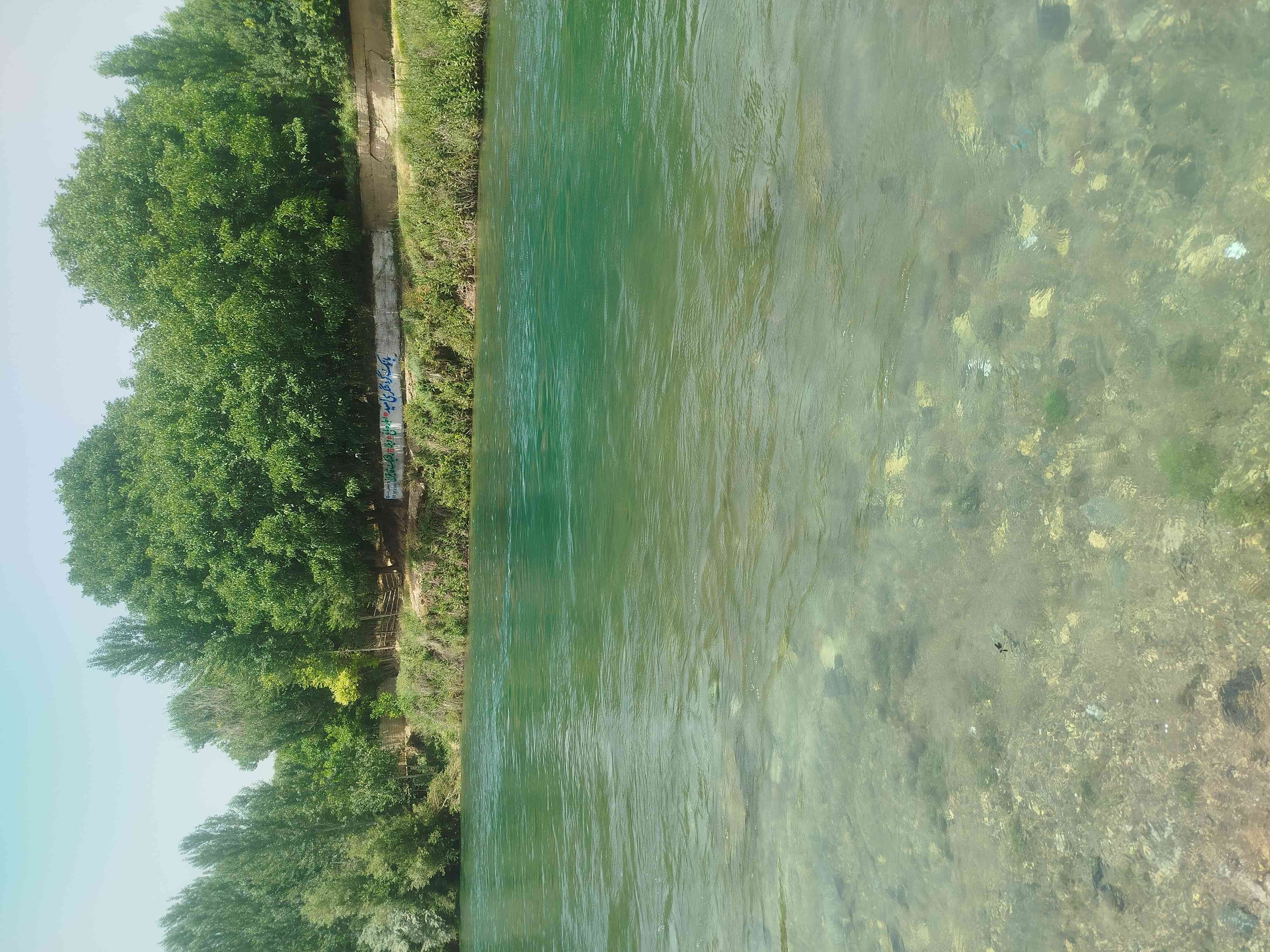 به به جای شما خالی