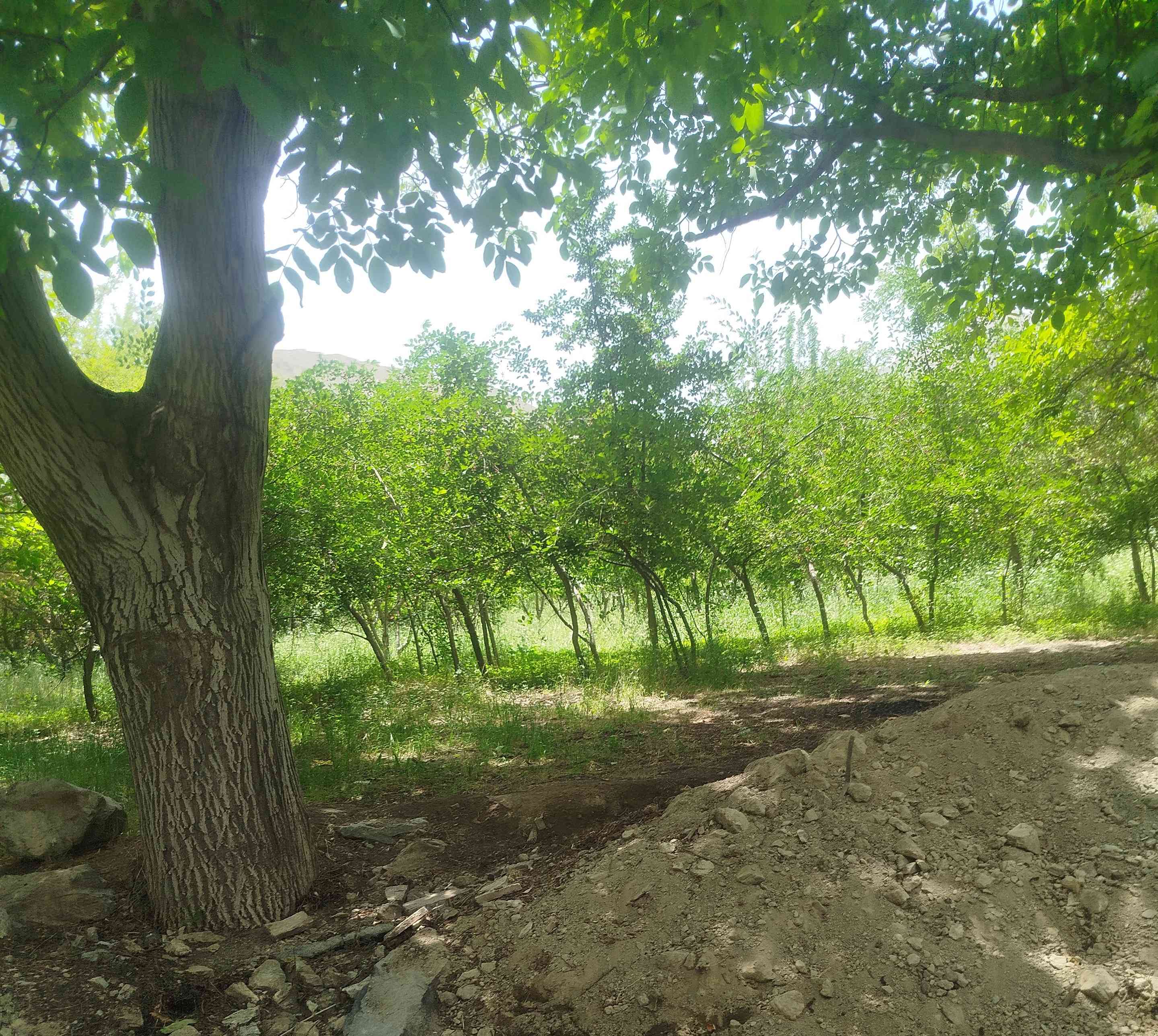 خیلیییی قشنگهههه